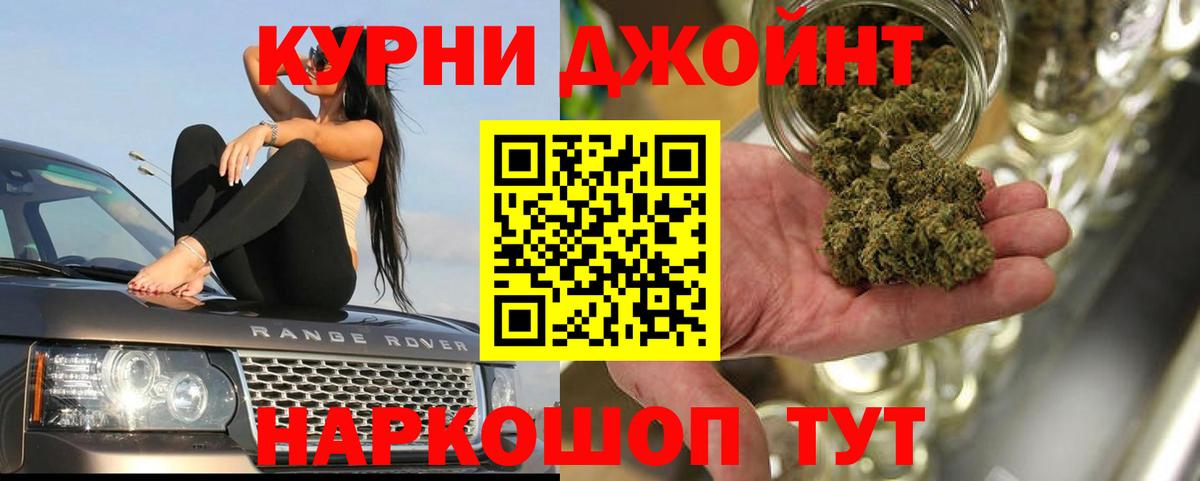 Каннабис гибрид  Шишки марихуана сатива  Шишки марихуана OG Kush  Сосновый Бор  Вход с VPN 